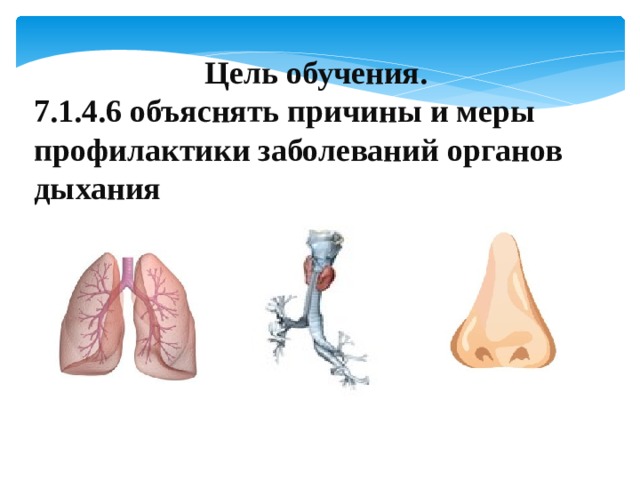 Цель обучения. 7.1.4.6 объяснять причины и меры профилактики заболеваний органов дыхания
