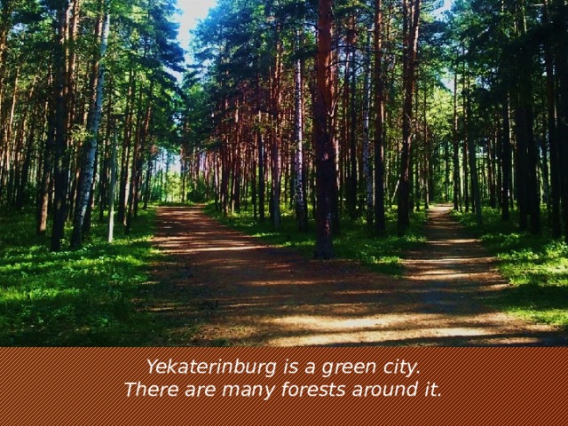 Yekaterinburg is a green city. There are many forests around it.
