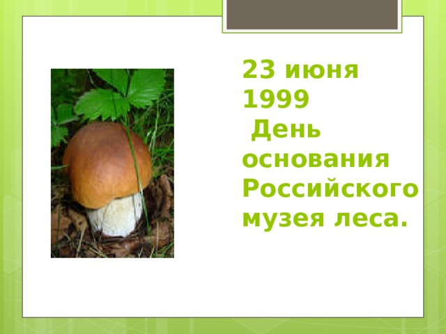 23 июня 1999  День основания Российского музея леса.   