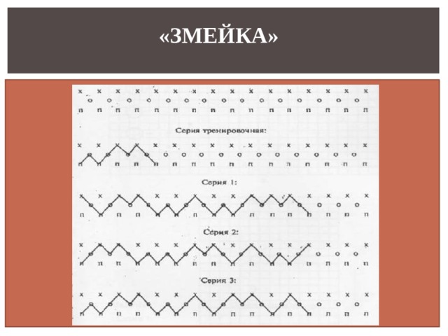 «ЗМЕЙКА»