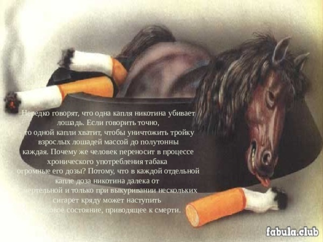 Нередко говорят, что одна капля никотина убивает лошадь. Если говорить точно,  то одной капли хватит, чтобы уничтожить тройку взрослых лошадей массой до полутонны каждая. Почему же человек переносит в процессе хронического употребления табака огромные его дозы? Потому, что в каждой отдельной капле доза никотина далека от смертельной и только при выкуривании нескольких сигарет кряду может наступить шоковое состояние, приводящее к смерти.