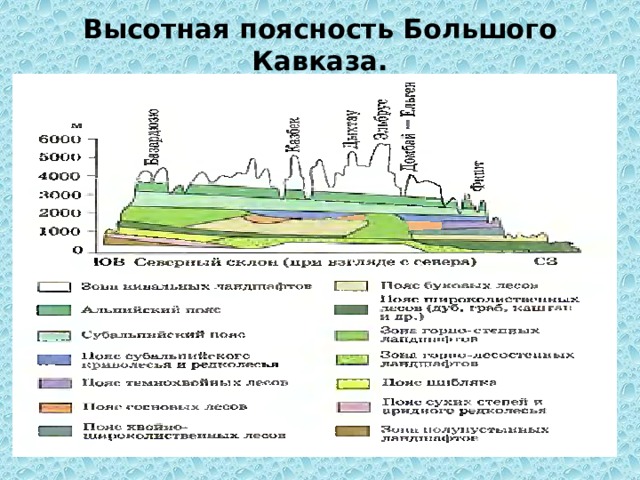 Высотная поясность Большого Кавказа.