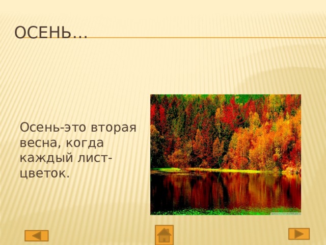 Осень… Осень-это вторая весна, когда каждый лист-цветок.