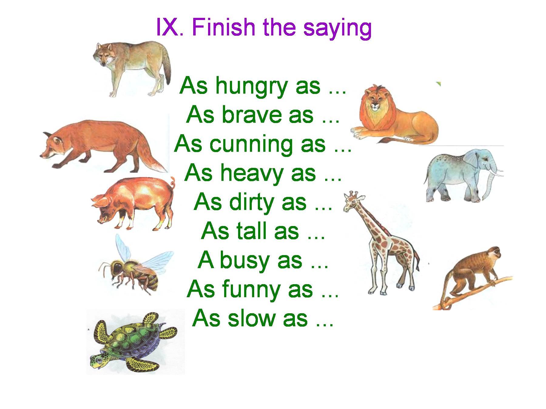 Урок английского на тему животные