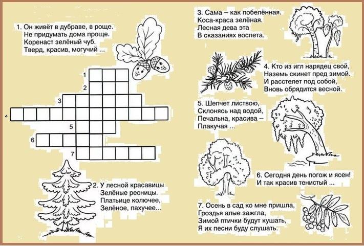 Загадки по экологии для дошкольников с картинками