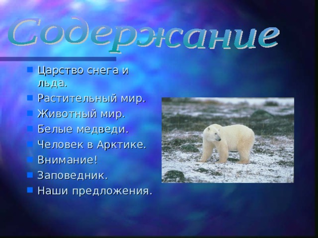 Царство снега и льда. Растительный мир. Животный мир. Белые медведи. Человек в Арктике. Внимание! Заповедник. Наши предложения.