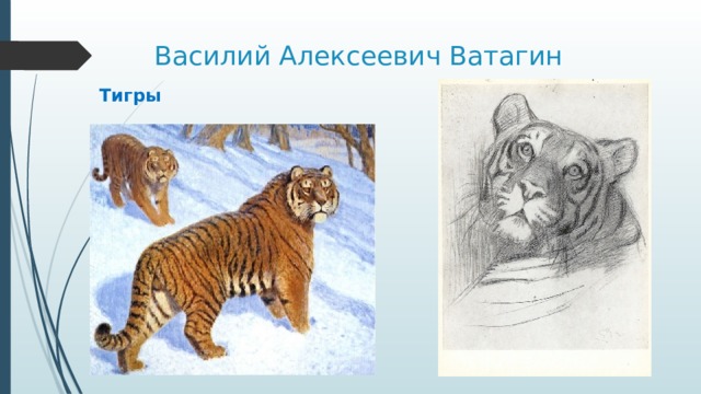 Василий Алексеевич Ватагин Тигры