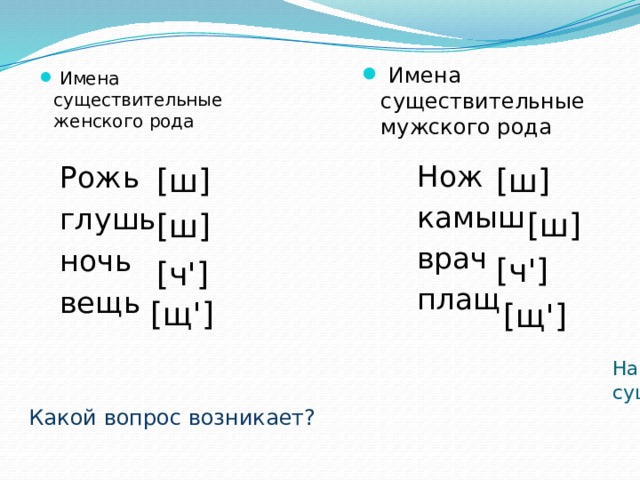 Имена существительные мужского рода  Имена существительные женского рода