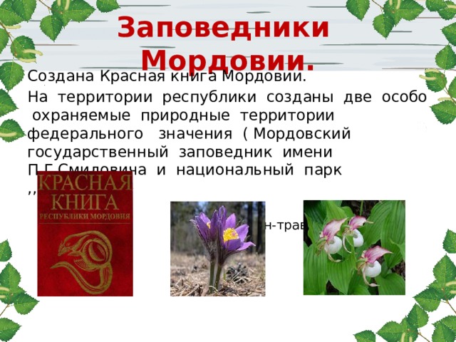 Фото красной книги мордовии фото и описание