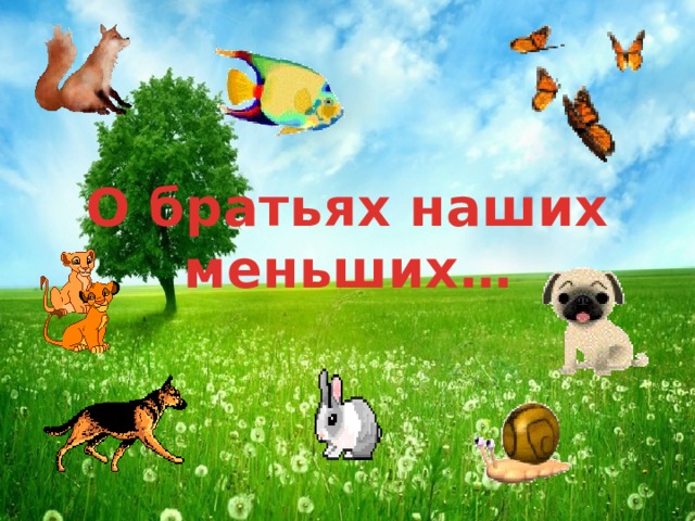 О братьях наших меньших…