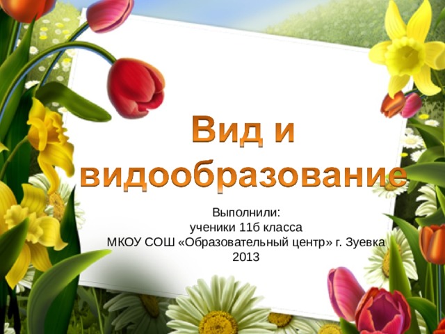 Выполнили: ученики 11б класса МКОУ СОШ «Образовательный центр» г. Зуевка 2013