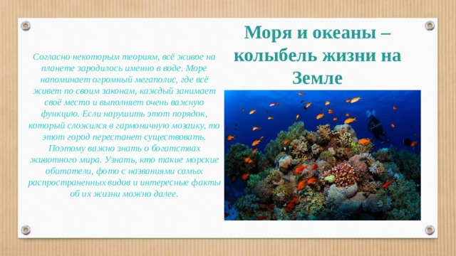 Моря и океаны – колыбель жизни на Земле Согласно некоторым теориям, всё живое на планете зародилось именно в воде. Море напоминает огромный мегаполис, где всё живет по своим законам, каждый занимает своё место и выполняет очень важную функцию. Если нарушить этот порядок, который сложился в гармоничную мозаику, то этот город перестанет существовать. Поэтому важно знать о богатствах животного мира. Узнать, кто такие морские обитатели, фото с названиями самых распространенных видов и интересные факты об их жизни можно далее.