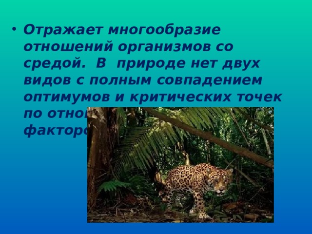 Отражает многообразие отношений организмов со средой. В природе нет двух видов с полным совпадением оптимумов и критических точек по отношению к набору факторов среды. (стр 190 рис 73)