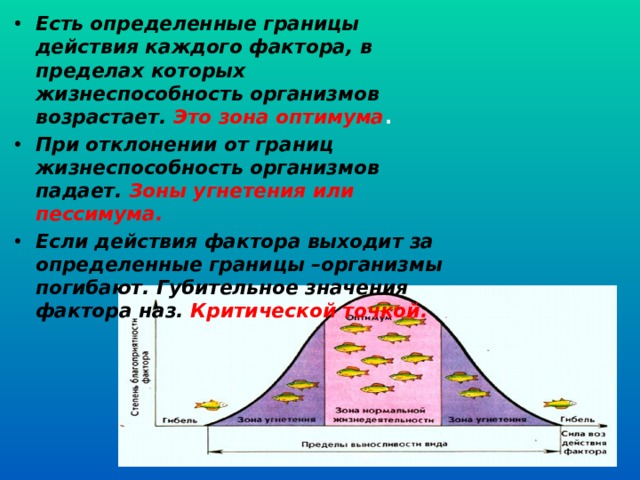 Есть определенные границы действия каждого фактора, в пределах которых жизнеспособность организмов возрастает. Это зона оптимума . При отклонении от границ жизнеспособность организмов падает. Зоны угнетения или пессимума. Если действия фактора выходит за определенные границы –организмы погибают.  Губительное значения фактора наз.  Критической точкой.