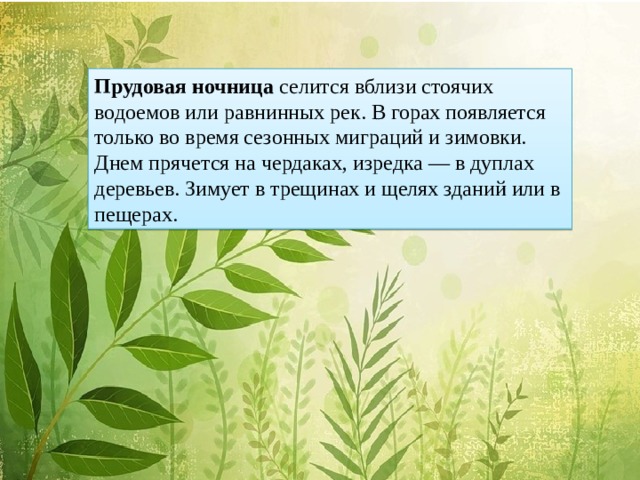 Прудовая ночница селится вблизи стоячих водоемов или равнинных рек. В горах появляется только во время сезонных миграций и зимовки. Днем прячется на чердаках, изредка — в дуплах деревьев. Зимует в трещинах и щелях зданий или в пещерах.