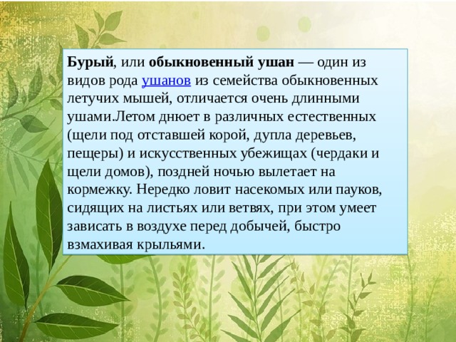 Бурый , или обыкновенный ушан  — один из видов рода ушанов из семейства обыкновенных летучих мышей, отличается очень длинными ушами.Летом днюет в различных естественных (щели под отставшей корой, дупла деревьев, пещеры) и искусственных убежищах (чердаки и щели домов), поздней ночью вылетает на кормежку. Нередко ловит насекомых или пауков, сидящих на листьях или ветвях, при этом умеет зависать в воздухе перед добычей, быстро взмахивая крыльями.