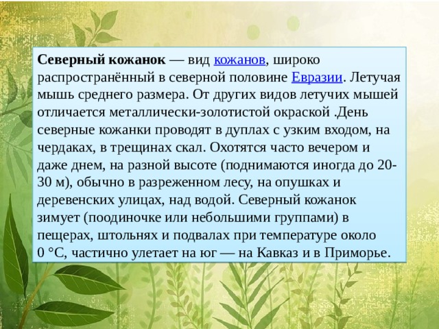 Северный кожанок  — вид кожанов , широко распространённый в северной половине Евразии . Летучая мышь среднего размера. От других видов летучих мышей отличается металлически-золотистой окраской .День северные кожанки проводят в дуплах с узким входом, на чердаках, в трещинах скал. Охотятся часто вечером и даже днем, на разной высоте (поднимаются иногда до 20-30 м), обычно в разреженном лесу, на опушках и деревенских улицах, над водой. Северный кожанок зимует (поодиночке или небольшими группами) в пещерах, штольнях и подвалах при температуре около 0 °C, частично улетает на юг — на Кавказ и в Приморье.