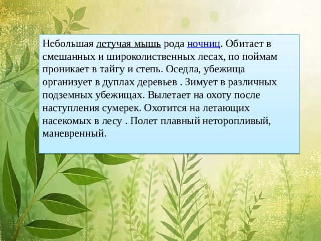 Небольшая летучая мышь рода ночниц . Обитает в смешанных и широколиственных лесах, по поймам проникает в тайгу и степь. Оседла, убежища организует в дуплах деревьев . Зимует в различных подземных убежищах. Вылетает на охоту после наступления сумерек. Охотится на летающих насекомых в лесу . Полет плавный неторопливый, маневренный.