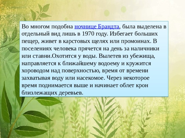 Во многом подобна ночнице Брандта , была выделена в отдельный вид лишь в 1970 году. Избегает больших пещер, живет в карстовых щелях или промоинах. В поселениях человека прячется на день за наличники или ставни.Охотится у воды. Вылетев из убежища, направляется к ближайшему водоему и кружится хороводом над поверхностью, время от времени захватывая воду или насекомое. Через некоторое время поднимается выше и начинает облет крон близлежащих деревьев.