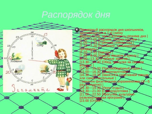 Распорядок дня