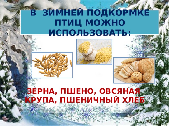 В ЗИМНЕЙ ПОДКОРМКЕ ПТИЦ МОЖНО ИСПОЛЬЗОВАТЬ: ЗЕРНА, ПШЕНО, ОВСЯНАЯ КРУПА, ПШЕНИЧНЫЙ ХЛЕБ