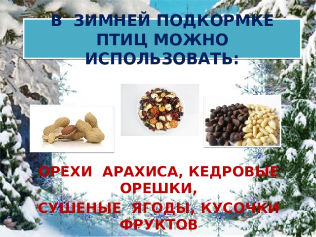 В ЗИМНЕЙ ПОДКОРМКЕ ПТИЦ МОЖНО ИСПОЛЬЗОВАТЬ: ОРЕХИ АРАХИСА, КЕДРОВЫЕ ОРЕШКИ, СУШЕНЫЕ ЯГОДЫ, КУСОЧКИ ФРУКТОВ