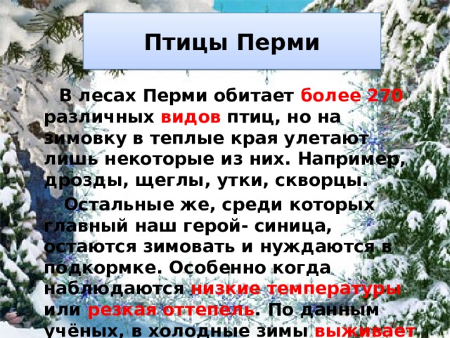 Птицы Перми  В лесах Перми обитает более 270 различных видов птиц, но на зимовку в теплые края улетают лишь некоторые из них. Например, дрозды, щеглы, утки, скворцы.  Остальные же, среди которых главный наш герой- синица, остаются зимовать и нуждаются в подкормке. Особенно когда наблюдаются низкие температуры или резкая оттепель . По данным учёных, в холодные зимы выживает  только 1 птица из 10 синиц!