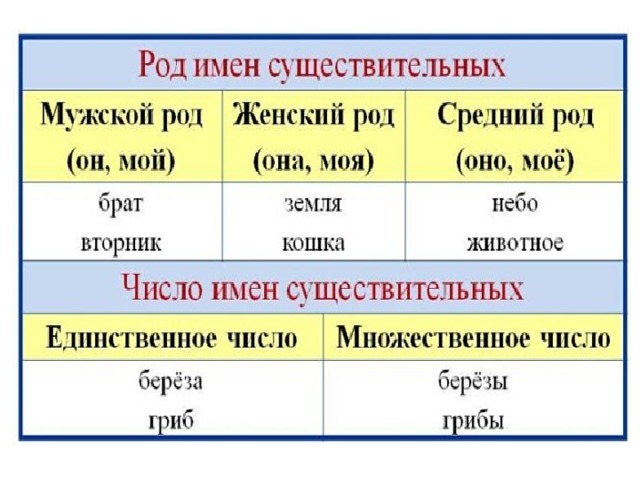 Имена существительные общего рода 5 класс презентация