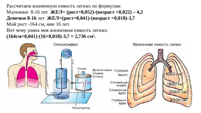 Рассчитаем жизненную емкость легких по формулам:  Мальчики 8-16 лет ЖЕЛ= (рост×0,052)-(возраст ×0,022) – 4,2  Девочки 8-16 лет ЖЕЛ=(рост×0,041)-(возраст ×0,018)-3,7  Мой рост -164 см, мне 16 лет.  Вот чему равна моя жизненная емкость легких:  (164см×0,041)-(16×0,018)-3,7 = 2,736 см³.