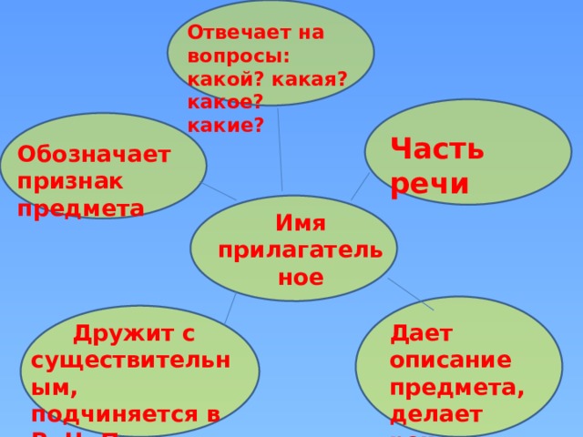 Отвечает на вопросы: какой? какая? какое? какие? Часть речи Обозначает признак предмета Имя прилагательное Дает описание предмета, делает речь красочной  Дружит с существительным, подчиняется в Р.,Ч.,П.