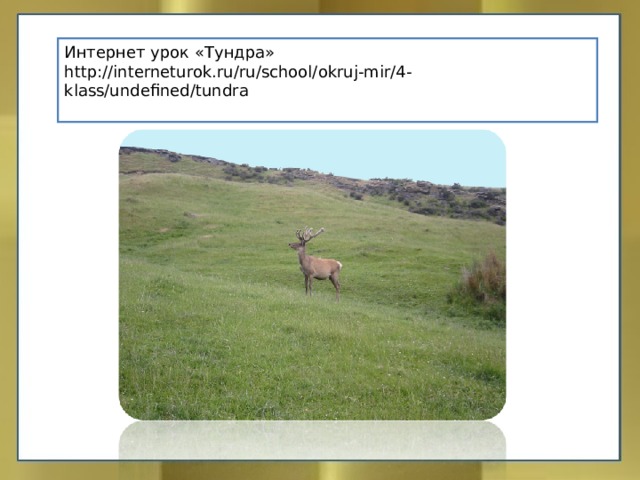 Интернет урок «Тундра» http://interneturok.ru/ru/school/okruj-mir/4-klass/undefined/tundra