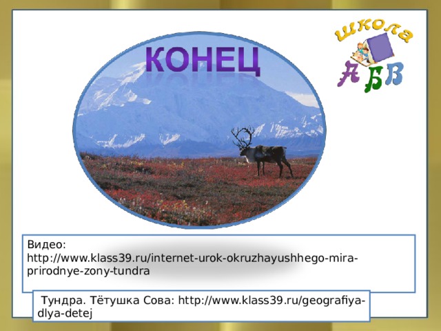 Видео: http://www.klass39.ru/internet-urok-okruzhayushhego-mira-prirodnye-zony-tundra  Тундра. Тётушка Сова: http://www.klass39.ru/geografiya-dlya-detej