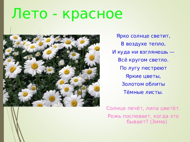 Лето - красное Ярко солнце светит, В воздухе тепло, И куда ни взглянешь — Всё кругом светло. По лугу пестреют Яркие цветы, Золотом облиты Тёмные листы. Солнце печёт, липа цветёт. Рожь поспевает, когда это бывает? (Зима)