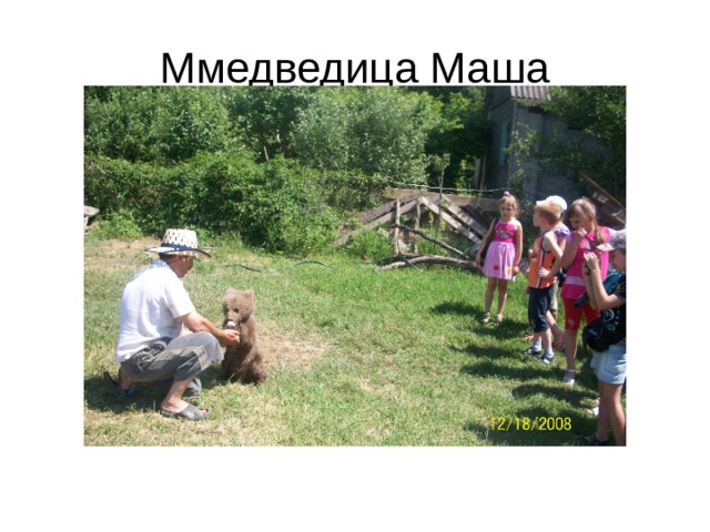 Ммедведица Маша