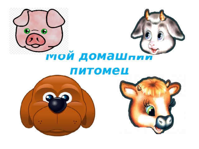 Мой домашний питомец