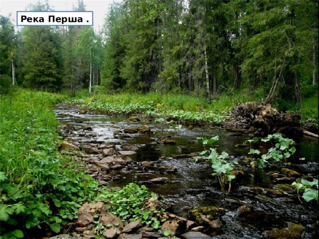 Река Перша .