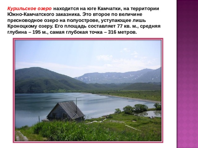 Курильское озеро находится на юге Камчатки, на территории Южно-Камчатского заказника. Это второе по величине пресноводное озеро на полуострове, уступающее лишь Кроноцкому озеру. Его площадь составляет 77 кв. м., средняя глубина – 195 м., самая глубокая точка – 316 метров.