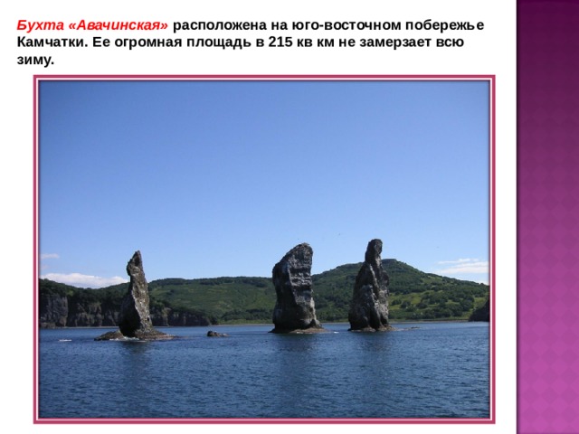 Бухта «Авачинская» расположена на юго-восточном побережье Камчатки. Ее огромная площадь в 215 кв км не замерзает всю зиму.