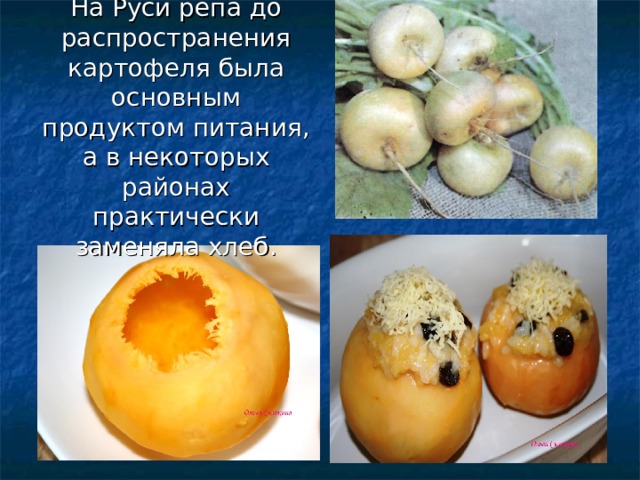 На Руси репа до распространения картофеля была основным продуктом питания, а в некоторых районах практически заменяла хлеб.