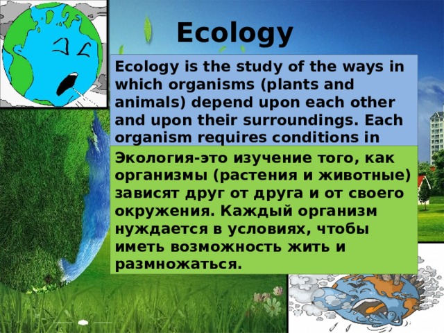 Ecology Ecology is the study of the ways in which organisms (plants and animals) depend upon each other and upon their surroundings. Each organism requires conditions in order to be able to live and breed. Экология-это изучение того, как организмы (растения и животные) зависят друг от друга и от своего окружения. Каждый организм нуждается в условиях, чтобы иметь возможность жить и размножаться.