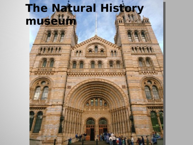 The Natural History museum