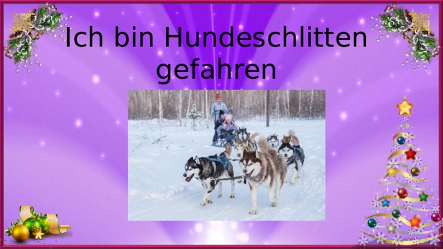 Ich bin Hundeschlitten gefahren