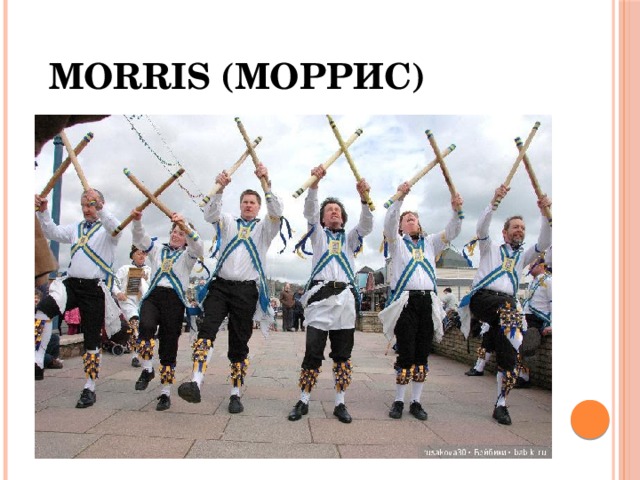 Morris (моррис)