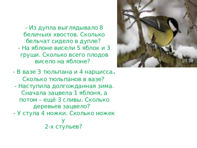 - Из дупла выглядывало 8 беличьих хвостов. Сколько бельчат сидело в дупле?  - На яблоне висели 5 яблок и 3 груши. Сколько всего плодов висело на яблоне?  - В вазе 3 тюльпана и 4 нарцисса . Сколько тюльпанов в вазе?  - Наступила долгожданная зима. Сначала зацвела 1 яблоня, а потом – ещё 3 сливы. Сколько деревьев зацвело?  - У стула 4 ножки. Сколько ножек у  2-х стульев?