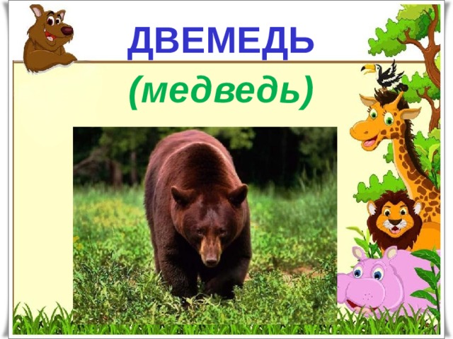 ДВЕМЕДЬ  (медведь)