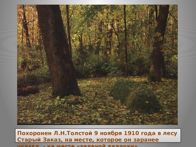 Похоронен Л.Н.Толстой 9 ноября 1910 года в лесу Старый Заказ, на месте, которое он заранее указал, - на месте «зеленой палочки».
