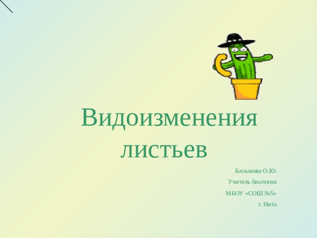 Видоизменения листьев Баскакова О.Ю. Учитель биологии МБОУ «СОШ №5» г. Инта