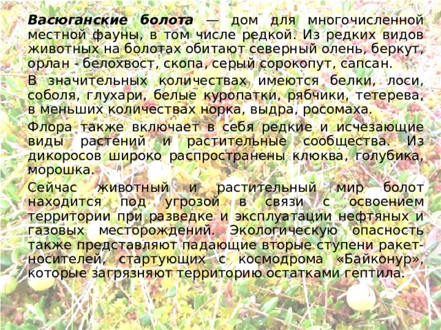 Блудова болота содержит огромные запасы. Условия обитания в болотах биология. Васюганское болото на карте.