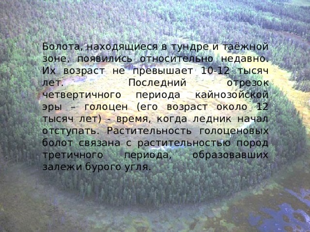 Болота, находящиеся в тундре и таёжной зоне, появились относительно недавно. Их возраст не превышает 10-12 тысяч лет.  Последний отрезок четвертичного периода кайнозойской эры – голоцен (его возраст около 12 тысяч лет) - время, когда ледник начал отступать. Растительность голоценовых болот связана с растительностью пород третичного периода, образовавших залежи бурого угля.