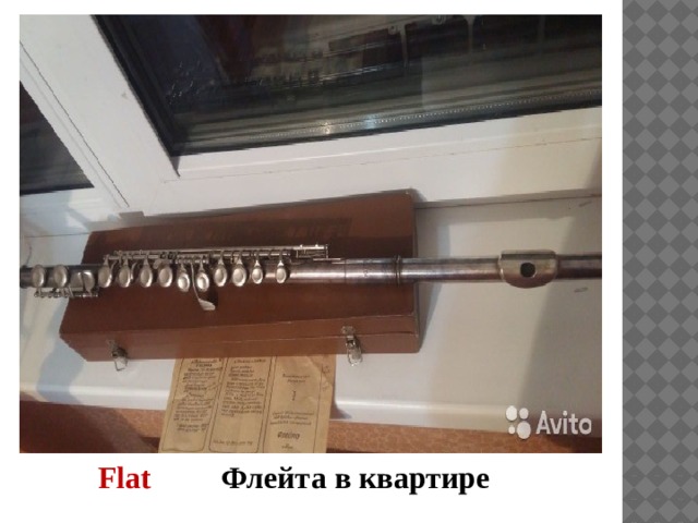 Flat Флейта в квартире